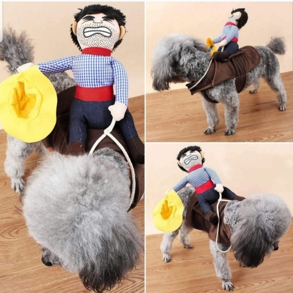 Cowboy Rider Dog Costume Size Medium